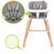 Стульчик для кормления Lionelo KOEN GREY STONE