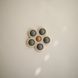 Mushie Flower Press Toy - Dried Thyme/Natural/Shifting Sand